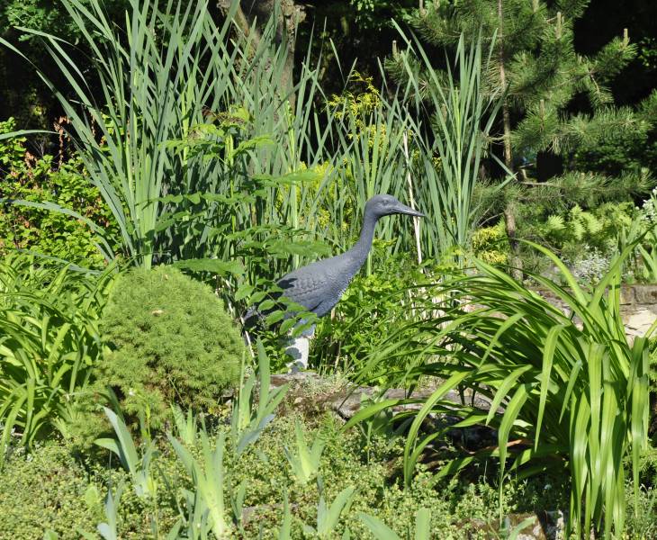 Hotel Garden